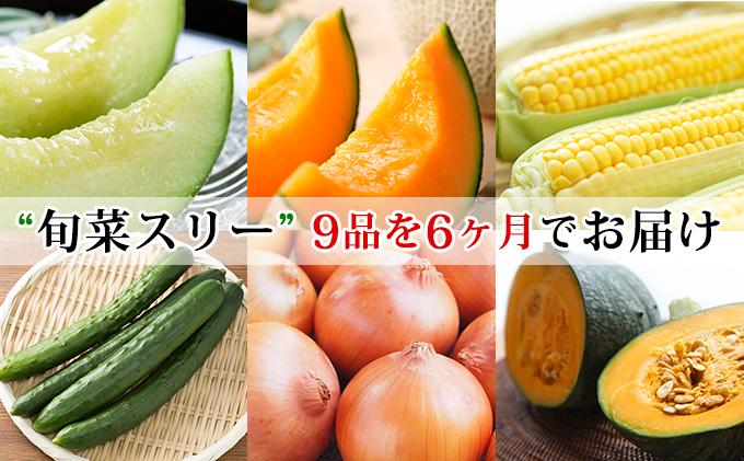 旬菜スリー 定期便 全9回お届け 22年7月 お届け開始 北海道滝川市 セゾンのふるさと納税