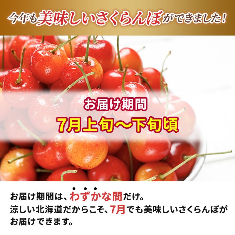 北海道仁木町のふるさと納税 北海道 仁木町産 ご自宅用 さくらんぼ （ 徳用 ）約2kg 仁木ファーム果実 フルーツ 名産地  お取り寄せ