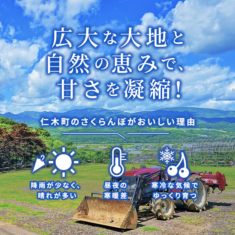 北海道仁木町のふるさと納税 北海道 仁木町産 ご自宅用 さくらんぼ （ 徳用 ）約2kg 仁木ファーム果実 フルーツ 名産地  お取り寄せ