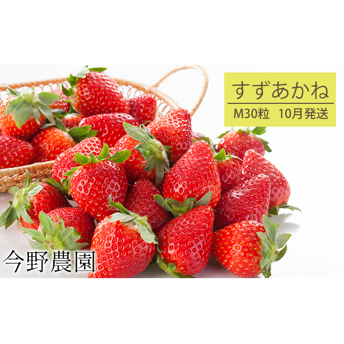 10月発送 今野農園いちご すずあかね M30粒 北海道仁木町産 北海道仁木町 Jre Pointが 貯まる 使える Jre Mall