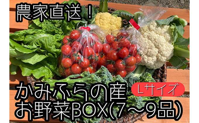 最適な材料 旬の朝採れ土佐野菜詰め合わせ 10 13品目 Fucoa Cl