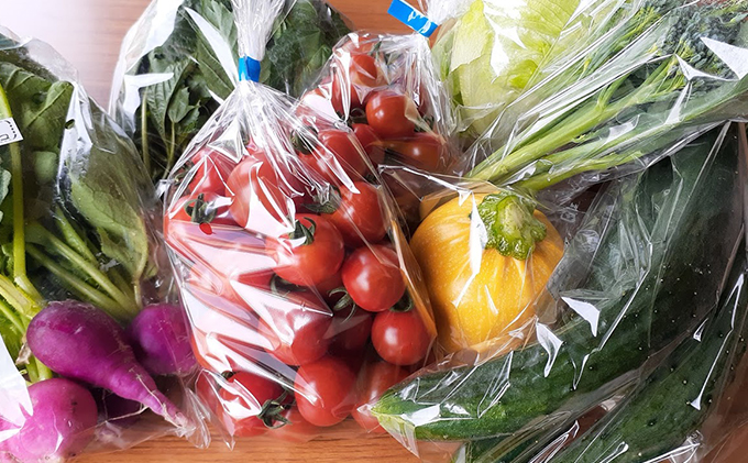 安い割引 安心 安全の野菜をお届けします トマトL 2玉 bluedale.com.au