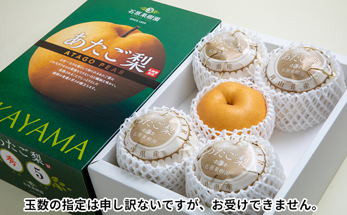 梨 2025年 先行予約 あたご梨 4～9玉 合計約4kg 化粧箱 【11月