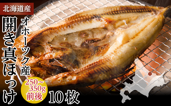 規格外のホッケの開き 20尾 - 魚介類(加工食品)