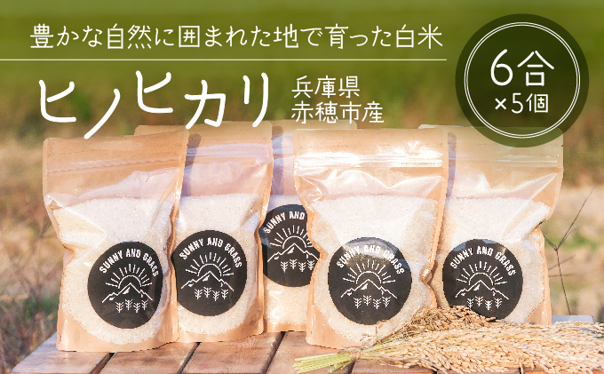 餅米の稲わら 40束 約10kg アルファ 藁 はぜ干し