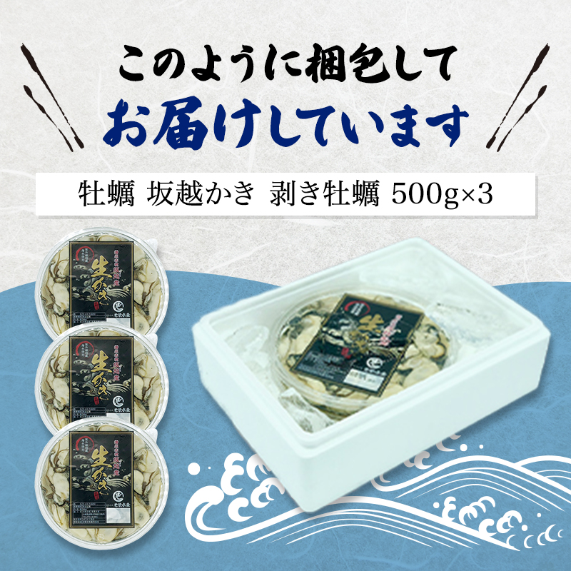 兵庫県赤穂市のふるさと納税  牡蠣 坂越かき 剥き牡蠣 500g×3[ 生牡蠣 かき カキ むき身 剥き身 生食 冬牡蠣 ]