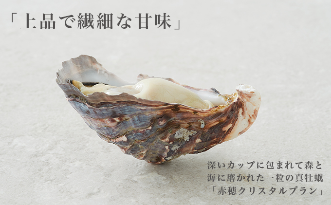 兵庫県赤穂市のふるさと納税  【夏も美味しい】牡蠣 坂越かき 赤穂クリスタルブラン40個（牡蠣ナイフ・軍手付き）[ 生牡蠣 かき カキ 殻付 生食 ]