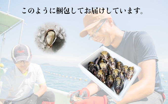 兵庫県赤穂市のふるさと納税  【夏も美味しい】牡蠣 坂越かき 赤穂クリスタルブラン40個（牡蠣ナイフ・軍手付き）[ 生牡蠣 かき カキ 殻付 生食 ]