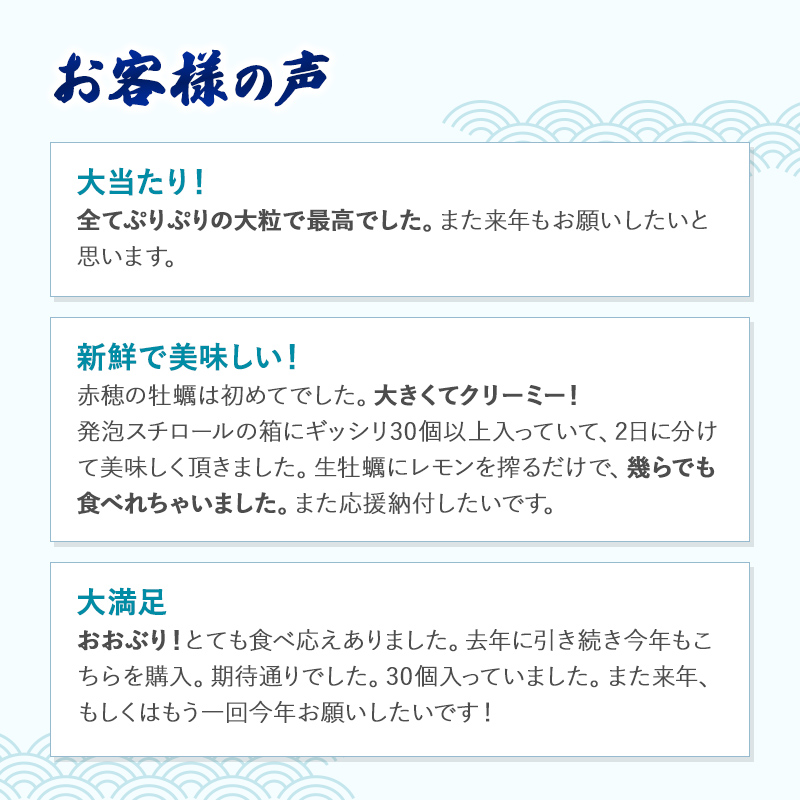 兵庫県赤穂市のふるさと納税 牡蠣 坂越かき 殻付き牡蠣24個 軍手・オイスターナイフ付き[ 生牡蠣 かき カキ 殻付 生食 冬牡蠣 ]