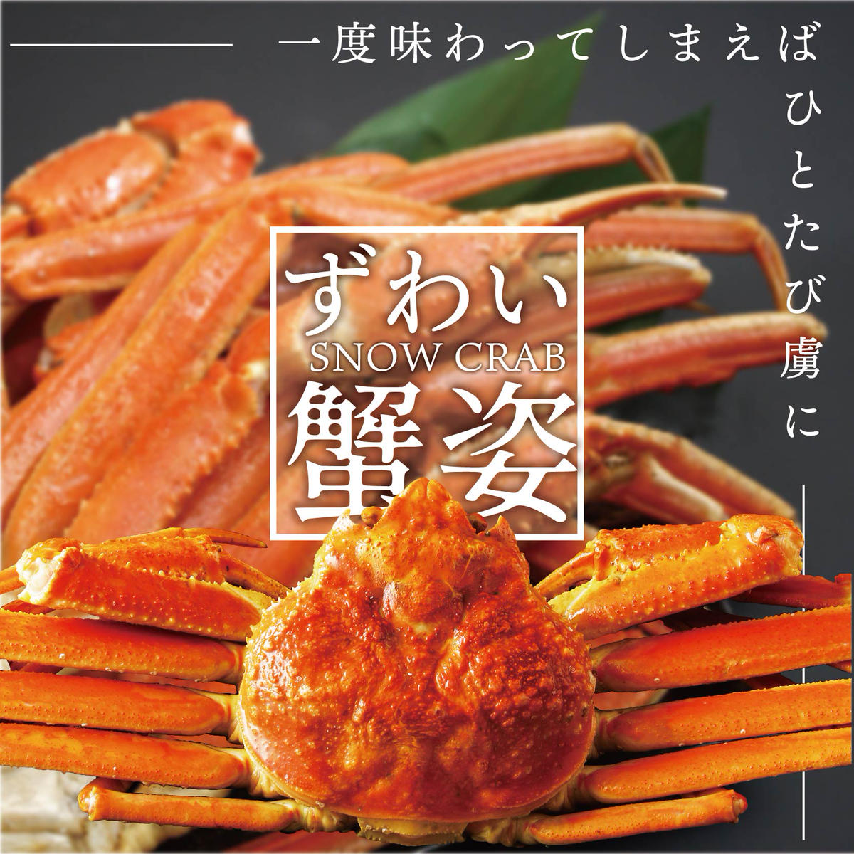 超大特価 ずわい ズワイ ズワイガニ 姿 ボイル冷凍 700g×3 - 魚介類(加工食品) - alrc.asia