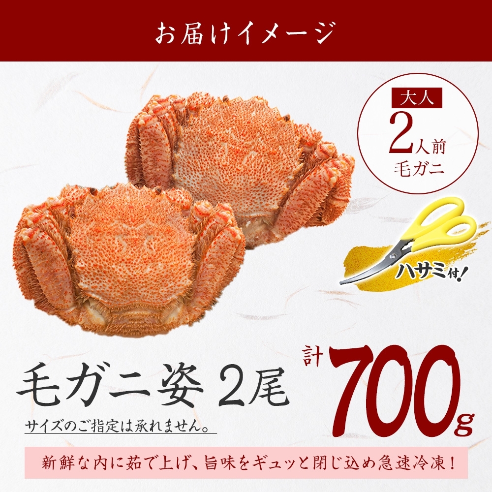 2458. 毛蟹 2尾 計700g前後 食べ方ガイド・専用ハサミ付 カニ かに 蟹 海鮮 ボイル 送料無料 北海道 弟子屈町 / 北海道弟子屈町 |  セゾンのふるさと納税