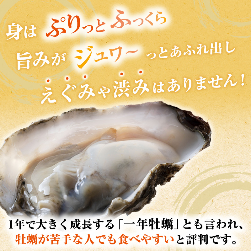 2025年1月上旬より出荷開始】メディアでも話題の生食用カキ 2025年1月上旬より出荷開始】メディアでも話題の生食用カキ