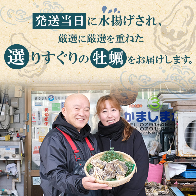 2025年1月上旬より出荷開始】メディアでも話題の生食用カキ 2025年1月上旬より出荷開始】メディアでも話題の生食用カキ
