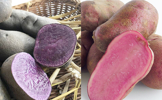 十勝幕別町産2種のカラフルポテト8kg シャドークイーン4kg ノーザンルビー4kg 22年11月出荷開始 北海道幕別町 セゾンのふるさと納税 十勝幕別町産2種のカラフルポテト8kg シャドークイーン4kg ノーザンルビー4kg 22年11月出荷開始 北海道幕別町 セゾンのふるさと納税