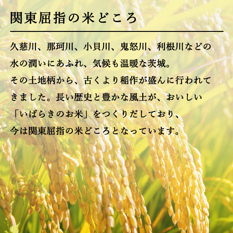 【3ヶ月 定期便】 令和４年産米 茨城県産 あきたこまち 15kg (5kg × 3袋) × 3回 計45kg 米 お米 こめ コメ 白米 精米  茨城県 いばらき 単一米 産地直送 お取り寄せ [AK008ya]|株式会社　伊藤米穀