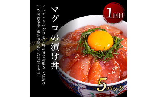 コロナ支援事業者さんを救いたいマグロ2ヶ月定期便 1回目 マグロの漬け丼 2回目 塩昆布14日間熟成マグロ赤身 中トロセット 高知県芸西村 ふるさと納税サイト ふるさとプレミアム