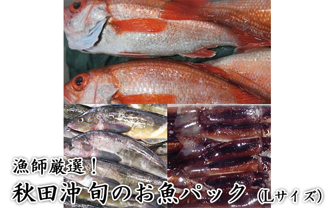 108ページ目）その他 魚介・海産物の返礼品一覧 | ふるさと納税サイト