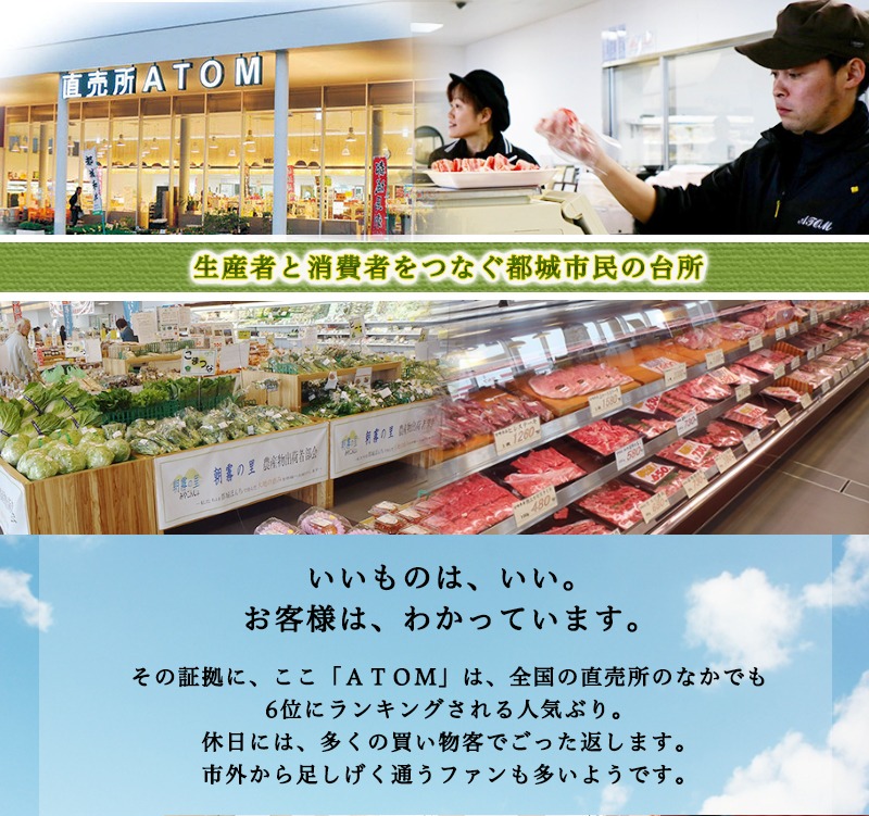 宮崎県都城市のふるさと納税 宮崎牛ヒレステーキ(A5)100g×2枚_22-0102