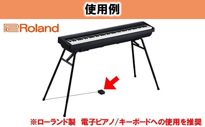 Roland ローランド ペダルスイッチ 電子ピアノ シンセサイザー DP-2 - 器材