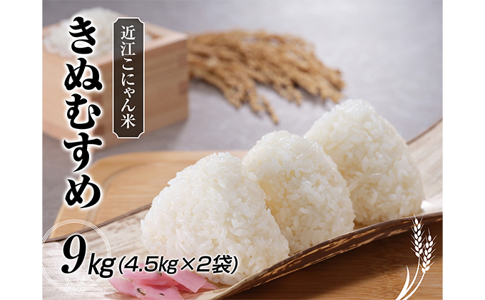 【楽天最安値に挑戦】 近江こにゃん米「きぬむすめ」9kg（4.5kg×2） 米/きぬむすめ 米・雑穀・粉類