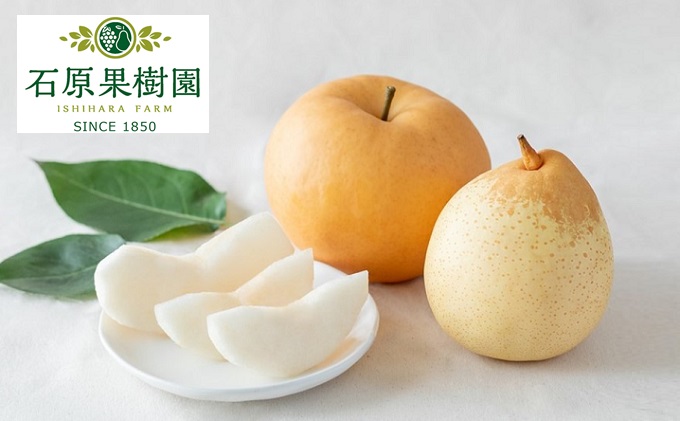 yRz 2025N s\ Ojij1 (1`1.4kg)EOij 3`5 l v3.0kgy11{`12{z RY t[c Mtg Όʎ ʕ