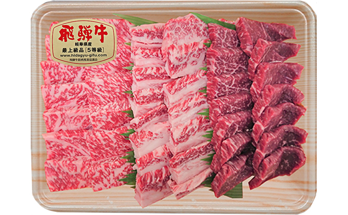 岐阜県輪之内町のふるさと納税 飛騨牛焼肉セット600g（5等級・冷凍）
