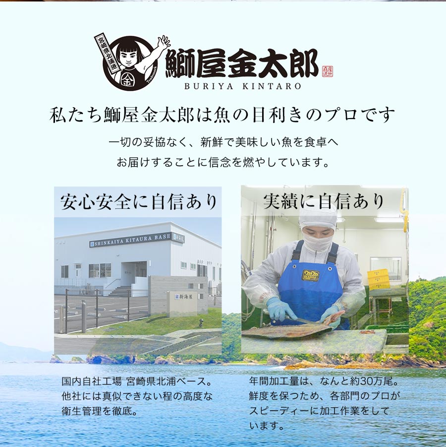 宮崎県延岡市のふるさと納税 鰤屋金太郎【冷蔵】ぶりスキンレスロイン1000g N018-YZA4407_1
