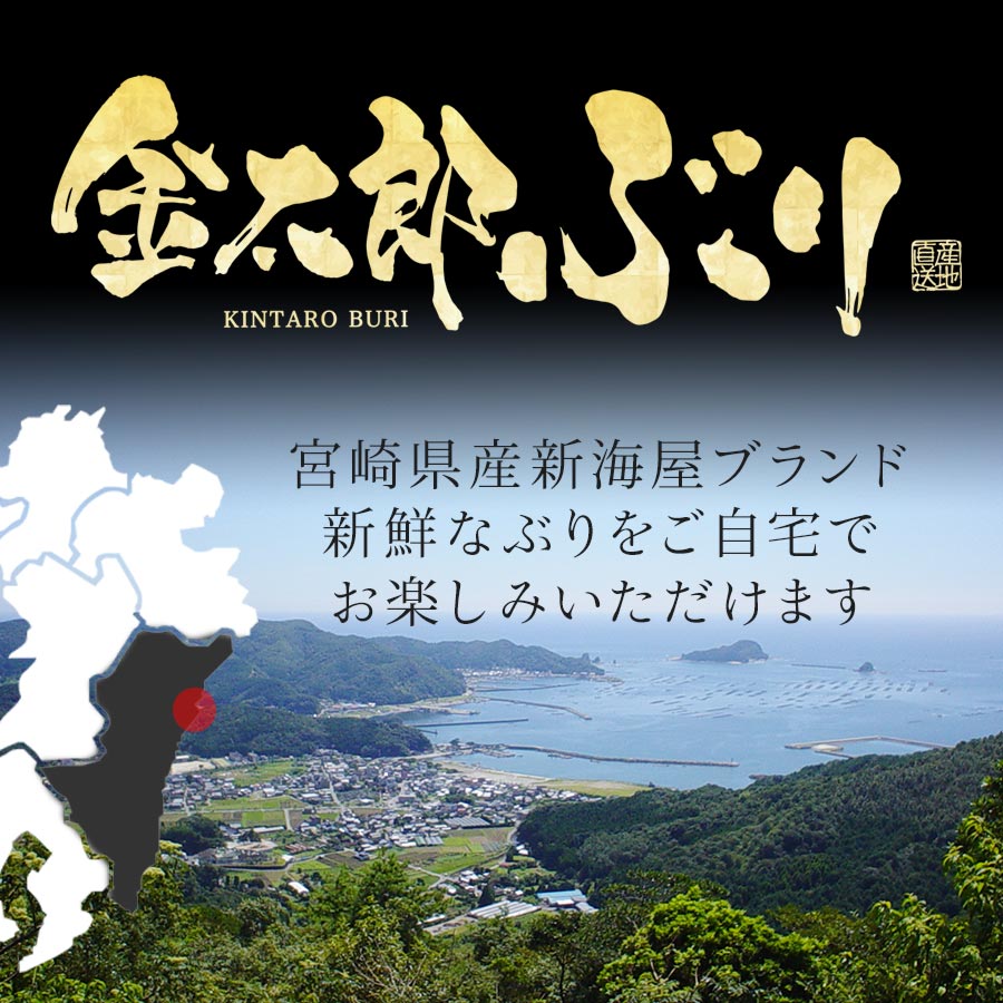 宮崎県延岡市のふるさと納税 鰤屋金太郎【冷凍】ぶりスキンレスロイン1000g N018-YZA4407_2
