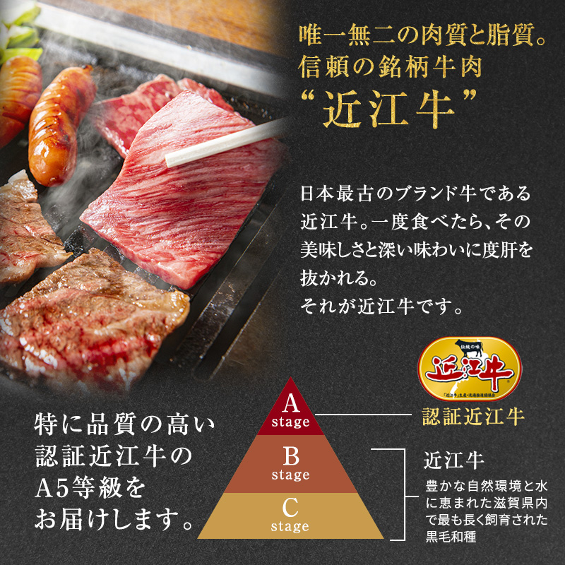 滋賀県豊郷町のふるさと納税 近江牛 焼肉 中上赤身焼肉用 約600g A5 雌牛 西川畜産 牛肉 黒毛和牛 焼き肉 焼肉用 バーベキュー 赤身 肉 お肉 牛 和牛