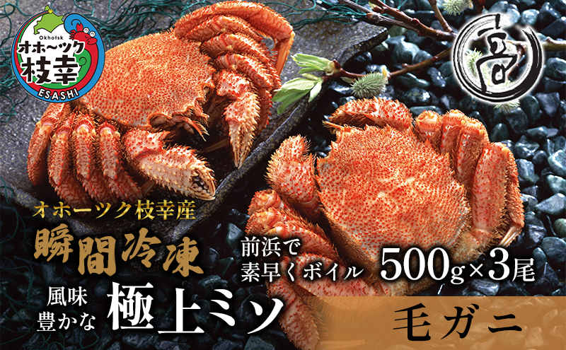 オホーツク枝幸産 毛ガニ500g×3尾（-196℃液体窒素瞬間凍結品） / 北海道枝幸町 | セゾンのふるさと納税