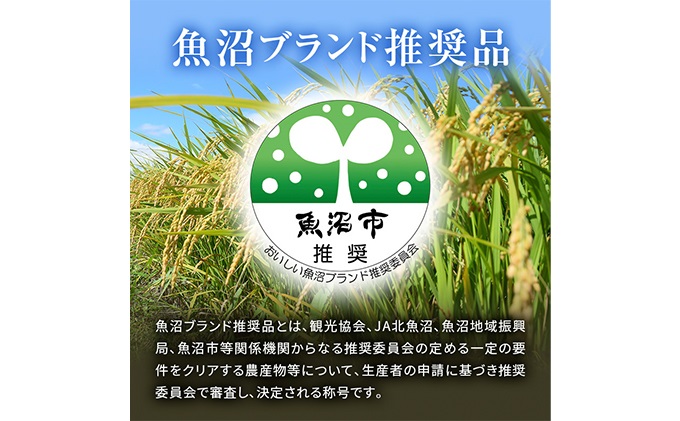 精米 最高級銘柄 新潟 魚沼産 コシヒカリ 3kg 令和4年度