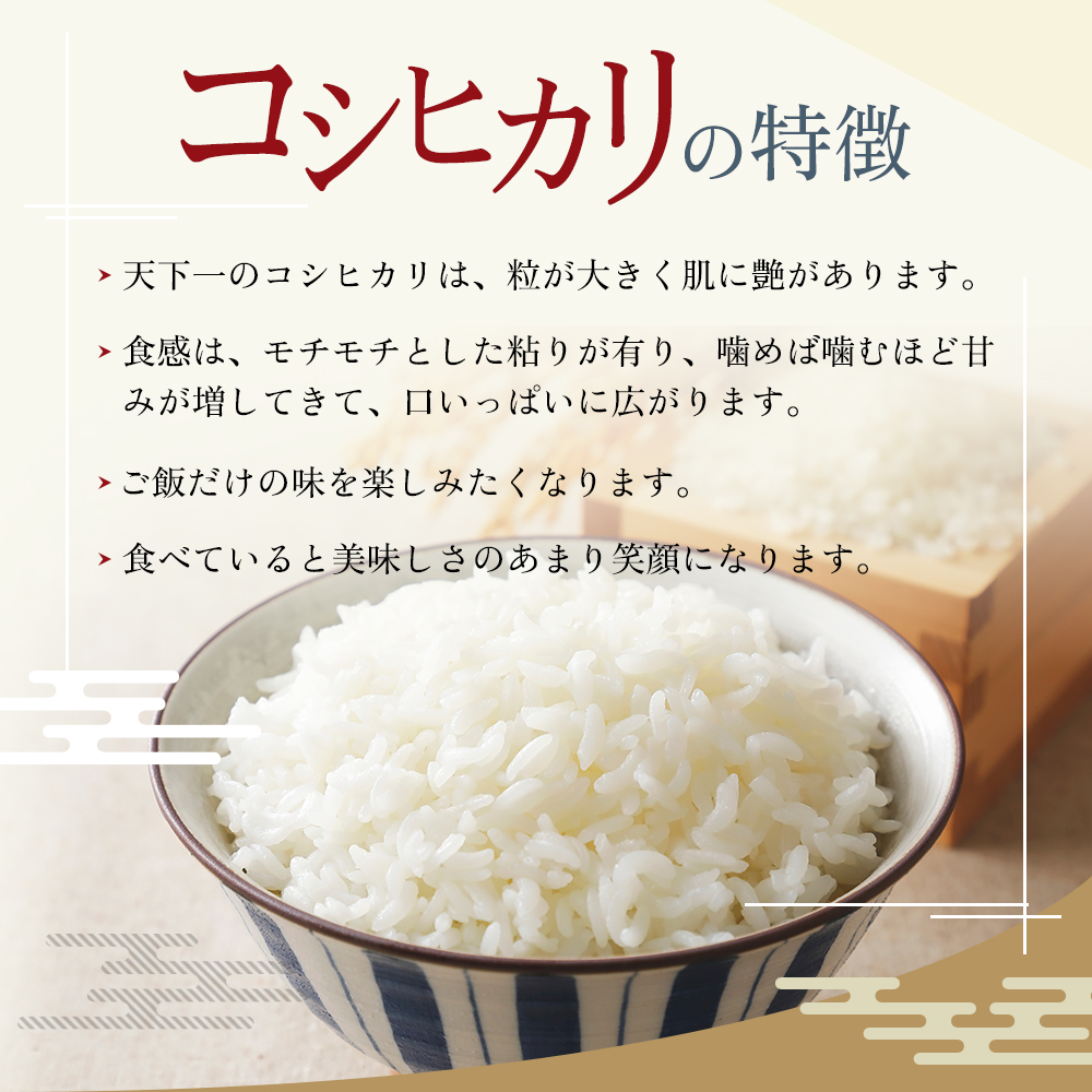 定期便 魚沼産 天下一コシヒカリ（商標）3kg 本当に旨い飯におかずはいらない全3回 / 新潟県魚沼市 | セゾンのふるさと納税