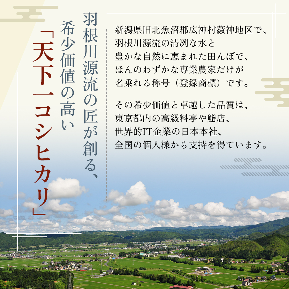 新潟県魚沼市のふるさと納税 定期便 魚沼産 天下一コシヒカリ（商標）3kg 食べればわかります！全3回