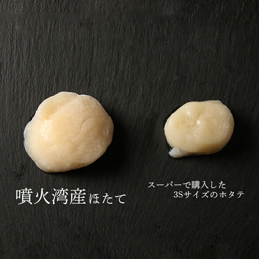 北海道白老町のふるさと納税 【緊急支援品】噴火湾産 ホタテ玉冷大（1kg）＜斉藤水産＞