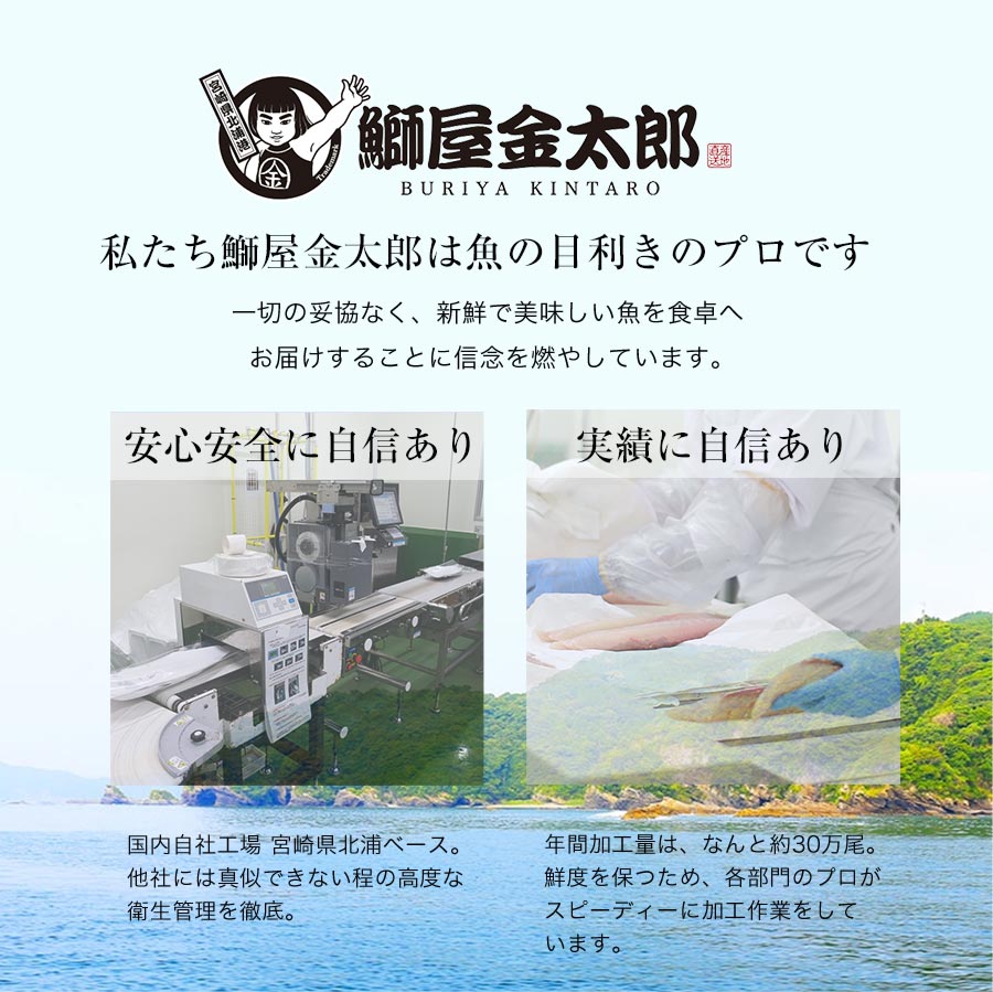 宮崎県延岡市のふるさと納税 鰤屋金太郎【冷凍】ぶりたいかんぱちスキンレスロイン各種300g N018-YZA844_2