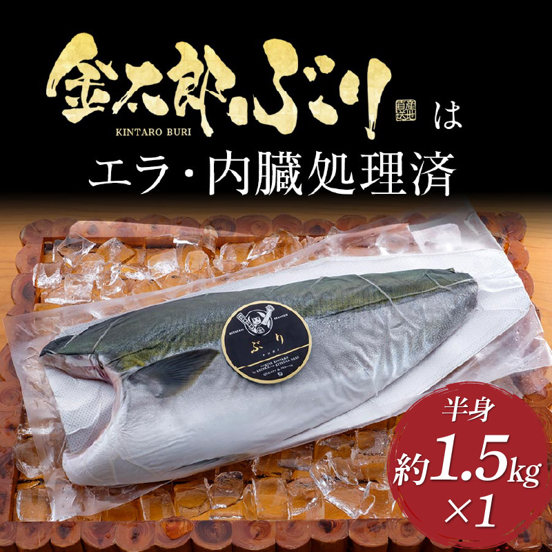 宮崎産 新海屋 鰤屋金太郎 金太郎 ぶり フィレ 1.3kg～ 半身 1枚 冷蔵