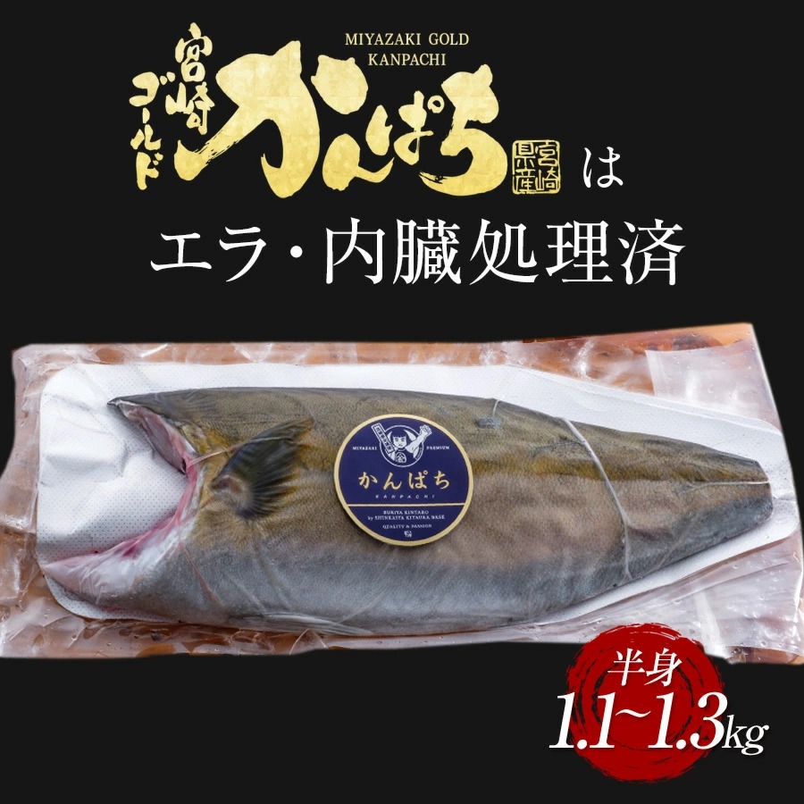 宮崎産 新海屋 鰤屋金太郎 宮崎ゴールドカンパチ フィレ 1.1kg～1.3kg 半身 1枚　冷凍　B044_2|株式会社 新海屋