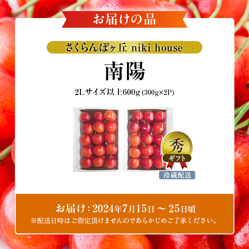 北海道仁木町のふるさと納税 先行予約 農園厳選 さくらんぼ 南陽 2Lサイズ 以上600g（品質： ギフト 向け）