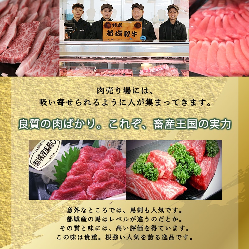 馬刺し product12384_1b.jpg