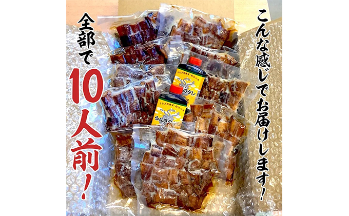 静岡県浜松市のふるさと納税 訳あり 国産 きざみうなぎ 900g(90g×10 タレ75ml×2・山椒付) 浜名湖産 ウナギ カット お歳暮