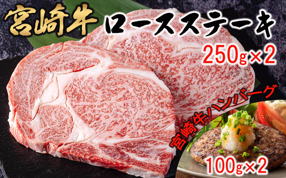 宮崎県産　BBQ　ハンバーグ　サシ　牛肉　ギフト　100g×2　送料無料　ミヤチク　ステーキ　家庭応援　内閣総理大臣賞受賞　冷凍　宮崎県美郷町　ぺっぱー　250g×2　国産　宮崎牛　霜降り　ミヤチク　数量限定　バーベキュー　ロース　緊急支援　セゾンのふるさと納税　合計700g　プレゼント