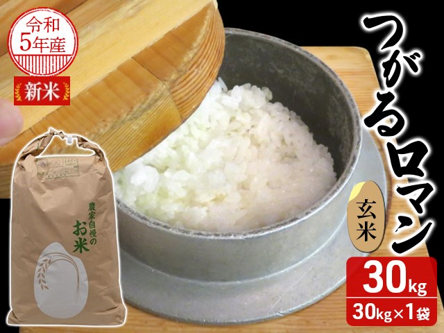 ☆ 令和4年 青森県産 つがるロマン 玄米〈30kg〉 通販