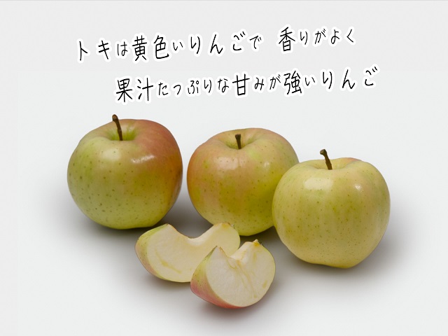 青森県産りんご　トキ
