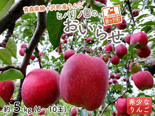 青森県産りんご