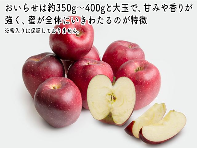 青森県鰺ヶ沢町のふるさと納税 りんご 青森 おいらせ リンゴ 約 5kg (6～10玉) 青森県 鰺ヶ沢町産 ヒバリノ園 フルーツ 果物 果物類 白神山地 林檎 2024 ※オンライン決済のみ