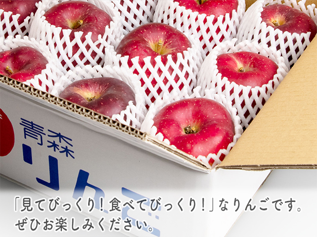 青森県鰺ヶ沢町のふるさと納税 りんご 青森 おいらせ リンゴ 約 5kg (6～10玉) 青森県 鰺ヶ沢町産 ヒバリノ園 フルーツ 果物 果物類 白神山地 林檎 2024 ※オンライン決済のみ