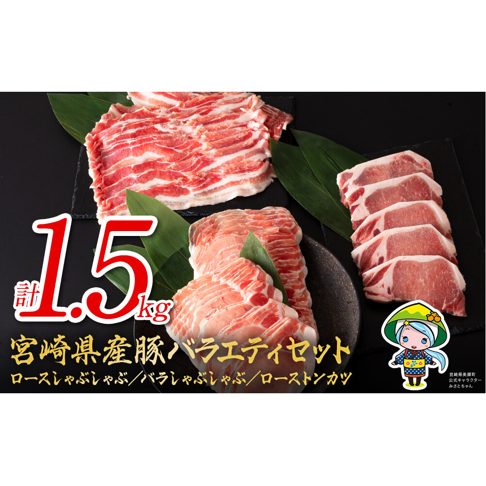 宮崎県産豚ロース・バラのバラエティセット