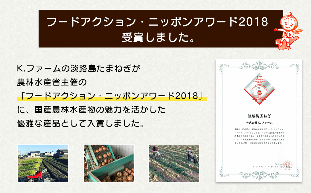 淡路島たまねぎ 大きな2Lサイズ10kg / 兵庫県淡路市 | セゾンのふるさと納税