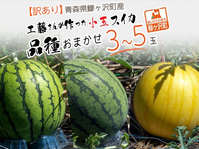 青森県産スイカ【ピノ・ガール】５玉　果物