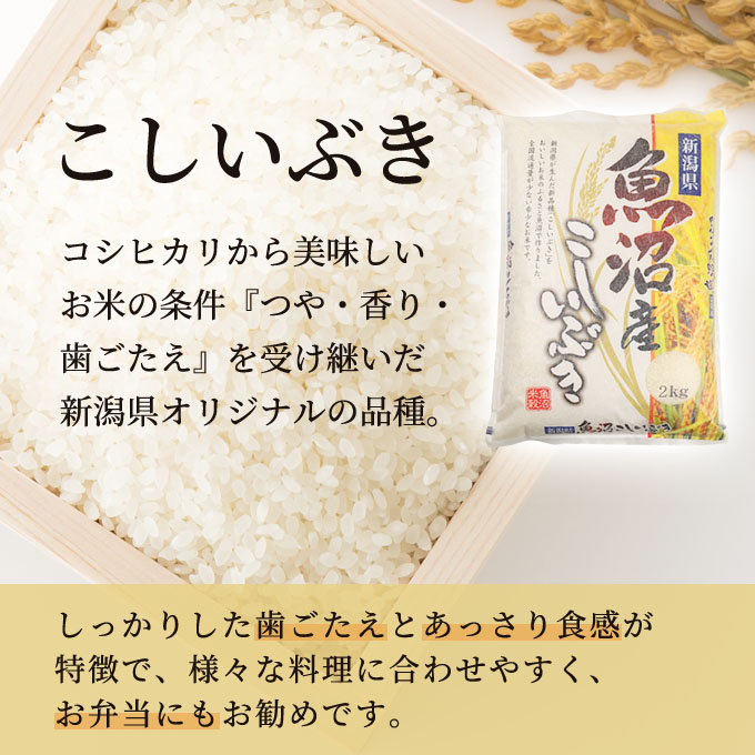 Amazon.co.jp: 無洗米 米 お米マイスター推奨 令和6年 岩手県産